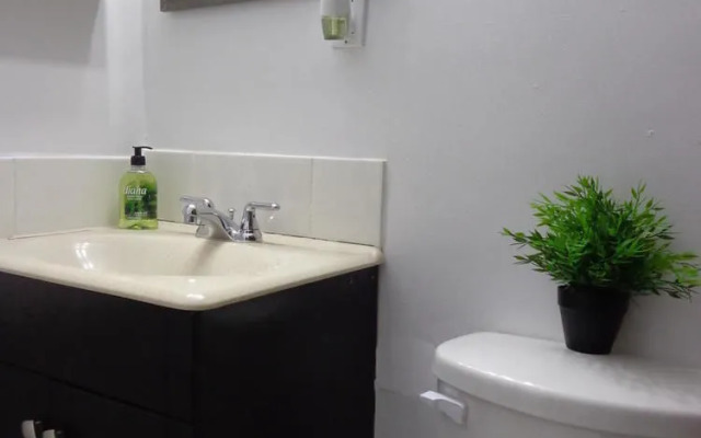 Adib Apartments - 2448 Carling Ave, Unit 104