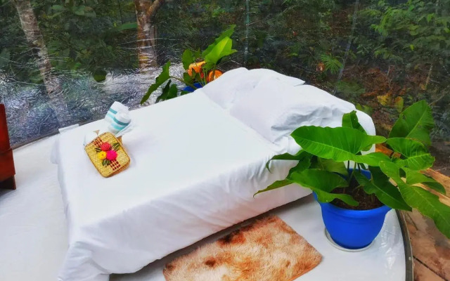 Glamping Amazonas