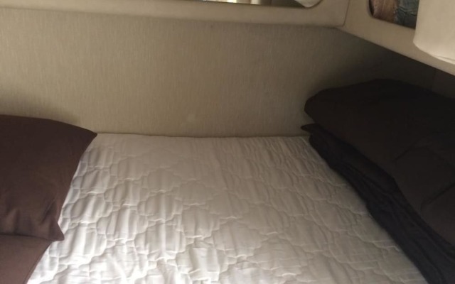 Boat Vedette Arlequin