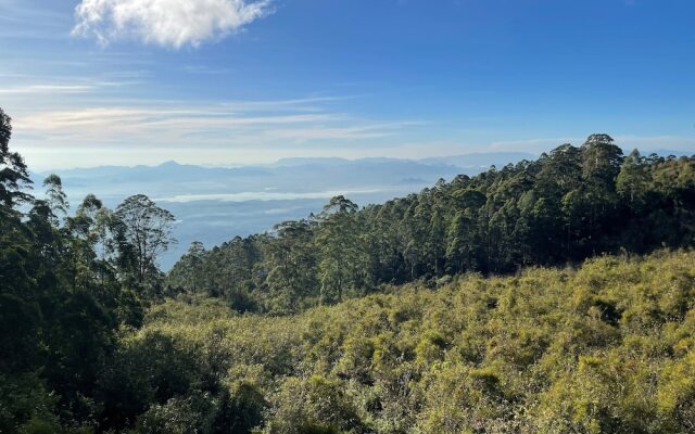 Dolphin Nose Retreat