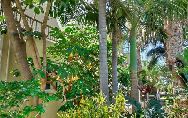 Constantaras Apartments