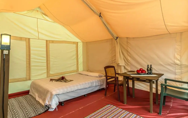 Paju Club Respia Glamping