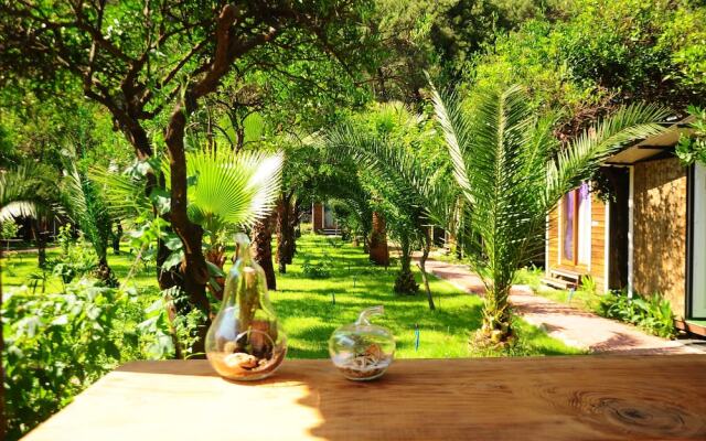 Likya Evleri Olympos - Adults Only