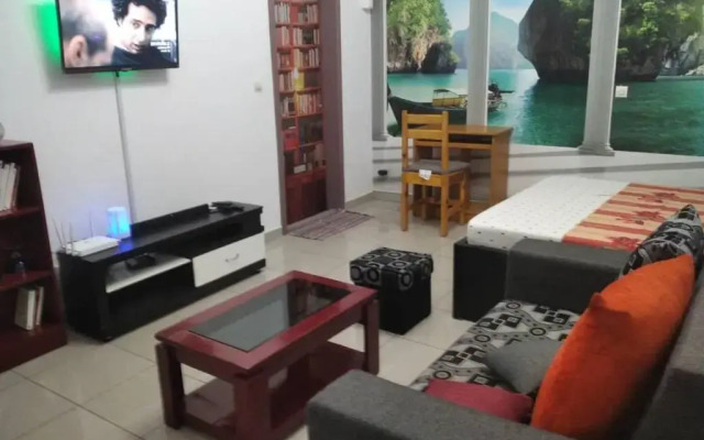 Magnifique Studio Meuble