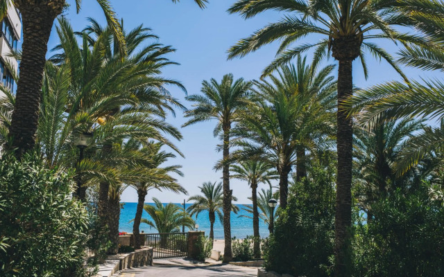 Glp Raspeig Dreamsea