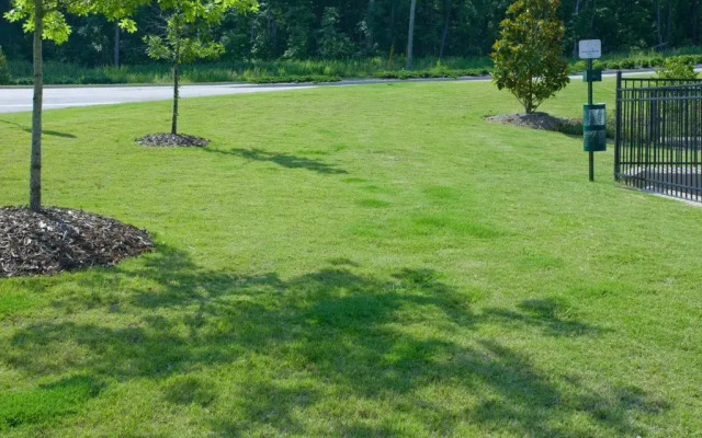 Candlewood Suites Alabaster by IHG