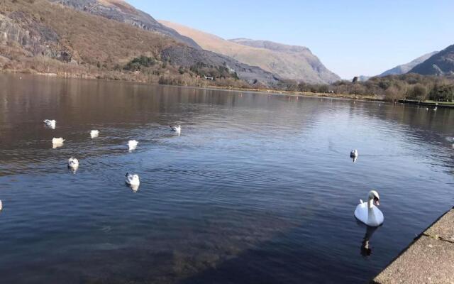 Llanberis Lodges