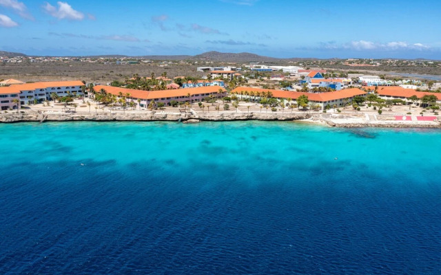 Sand Dollar Bonaire