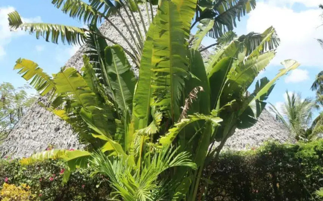 Villa Madinina