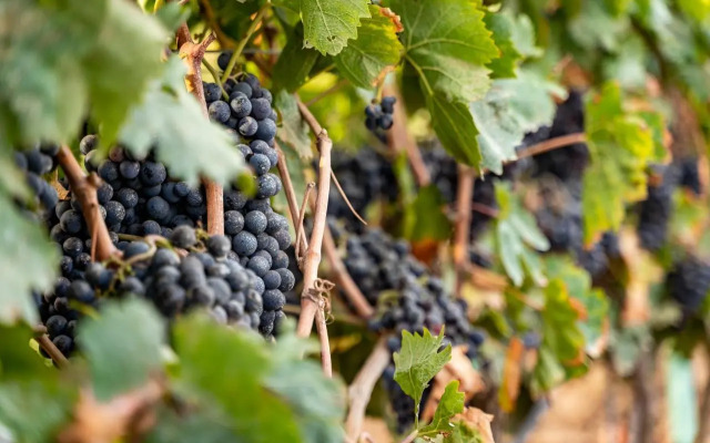 Agriturismo S'Incant'e Sinis