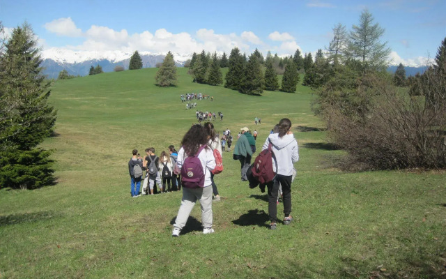 Hotel Rifugio Sores