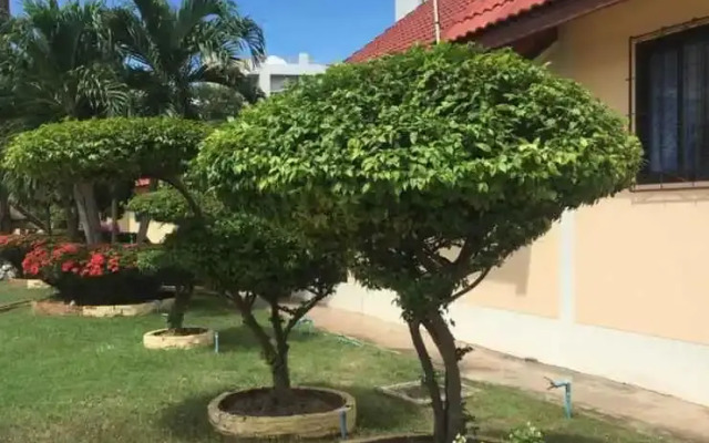 Puangkasem Country Resort