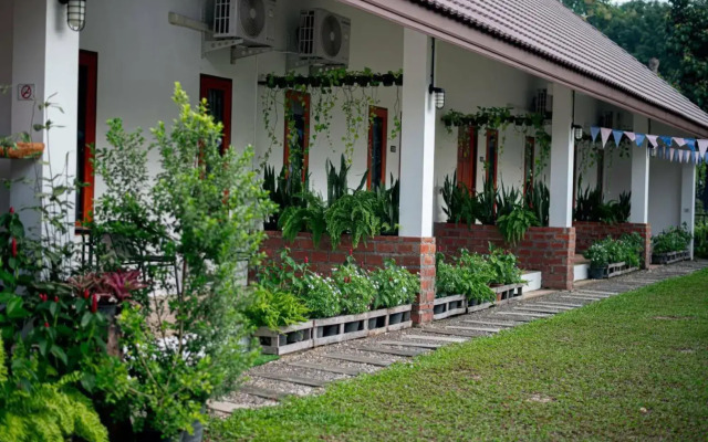 CoZy House Chiangrai