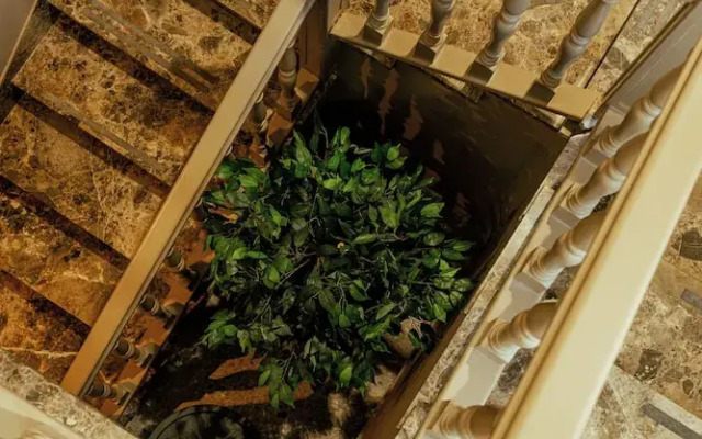 ALBERGO RISTORANTE BELSITO FIUGGI Nhost