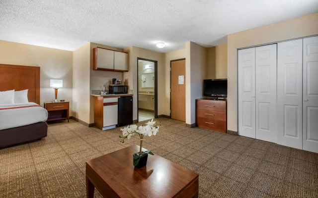 Comfort Inn Denver Southeast Area