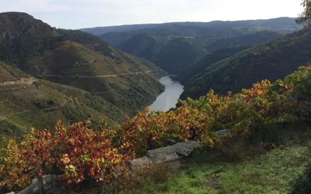 Acogedor Apartamento Ribeira Sacra