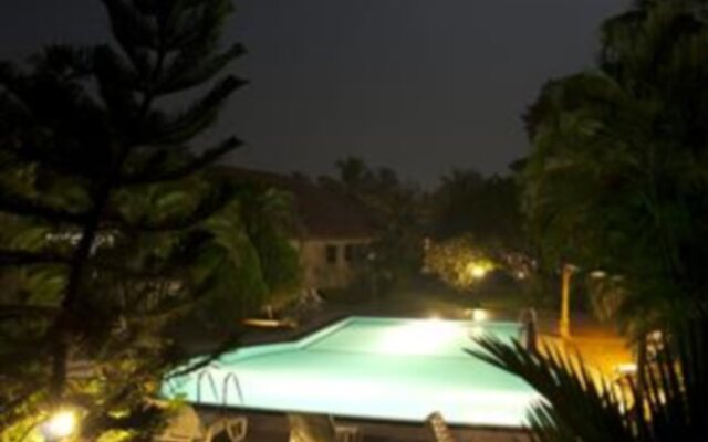 Bougain Villa