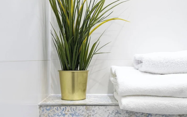 RentPlanet - Bliska Wola