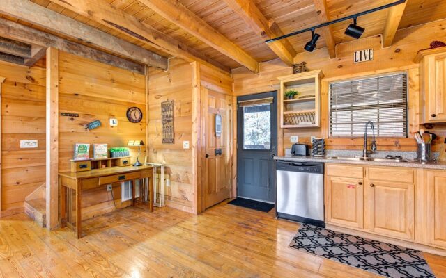 Bear Pause by Vtrips