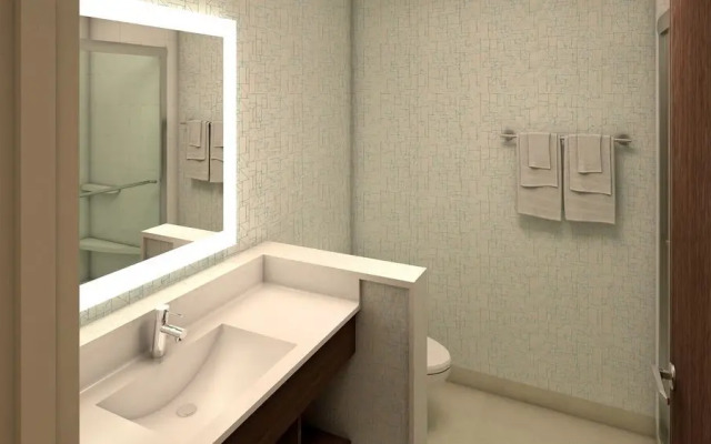 Holiday Inn Express & Suites Cartersville By IHG