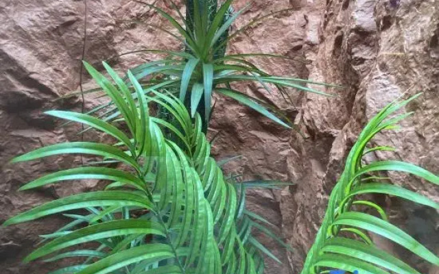 Gravity Space E-sports Hotel