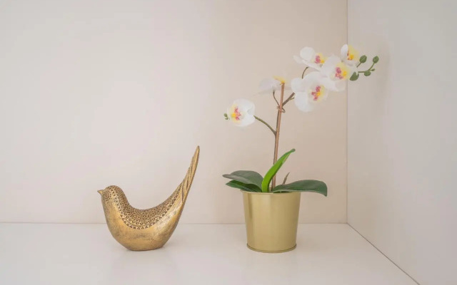 Tiles House, with A/C, Downtown Porto near Metro