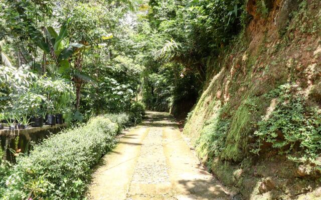 Homestay Yoto