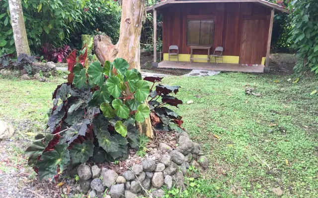 Selvita Lodge Arenal