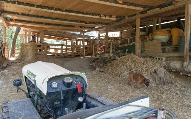 Podere Caldaruccio La Pineta Chalet