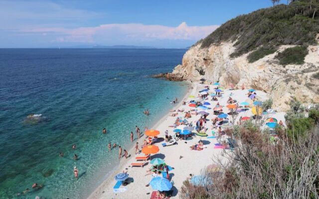 Il Seccione (PFO132)