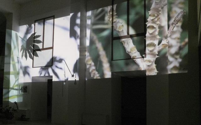 La Casaforte Art Residency