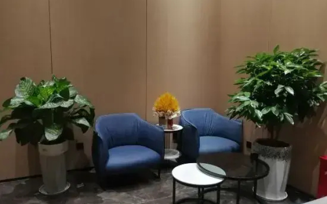 Kaiyuan Fengxin Homestay