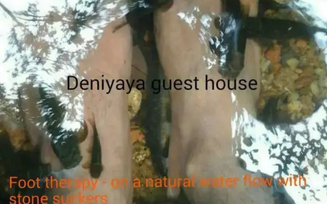 Deniyaya Guest House