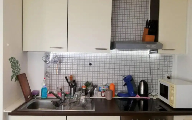Vacation Apartment Near The Black Forest