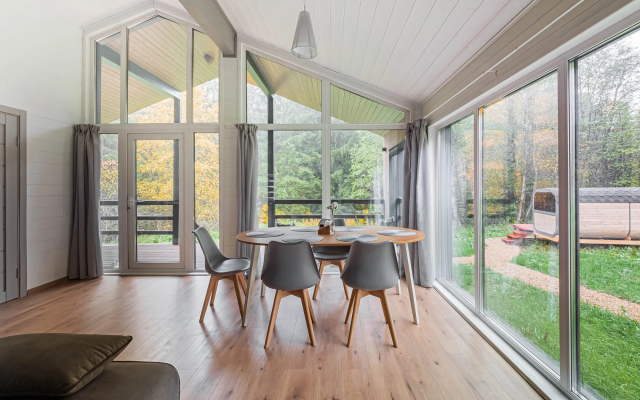 Pine Forest(Хвойный лес)