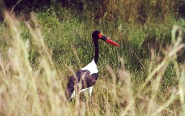 Sambiya River Lodge