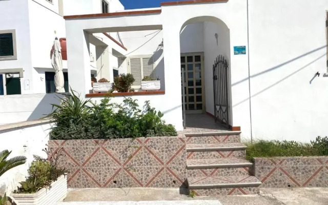 Immobilevante - La Donzella