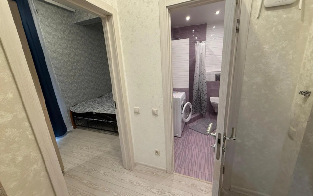 Апартаменты Pluton Aparts в СНТ Агро