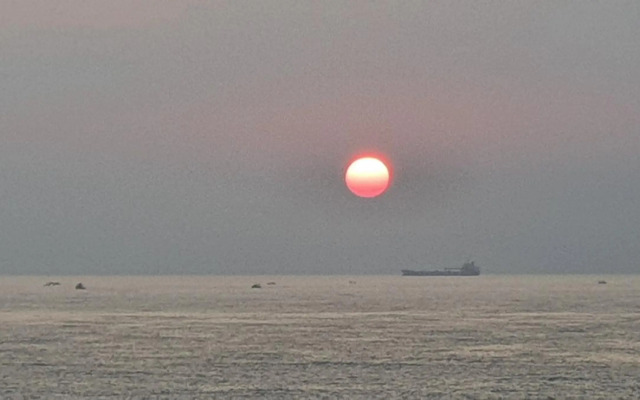 Auntie's Flowers Homestay