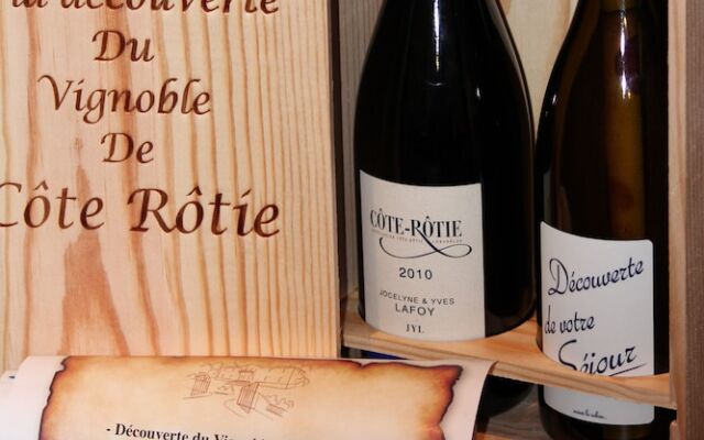 Hôtel Le Domaine des Vignes