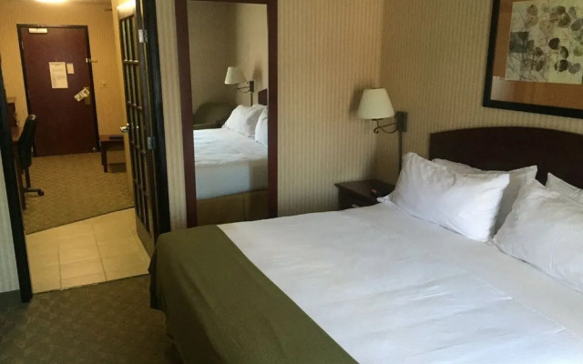 Spark by Hilton Lansing