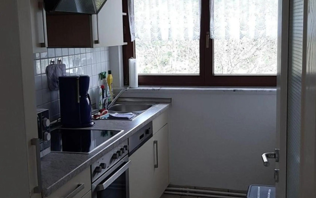 Ferienwohnung-Zweiburgenblick