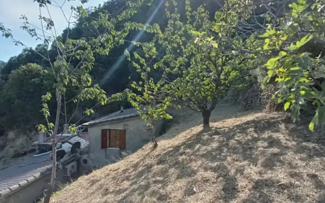 La quiete accesa