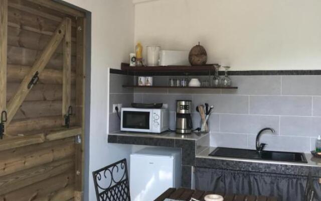 LES ALOÈS By CREYOL ANIMAL