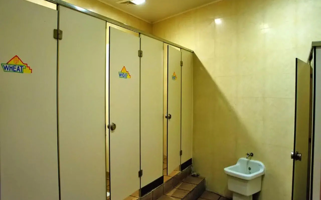 Qingdao Wheat Youth Hostel