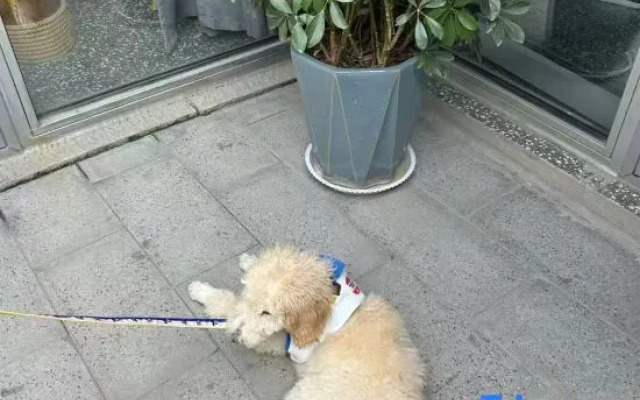 Zhi Xin Fu  Wen Quan (Xinzhou Gucheng Store)