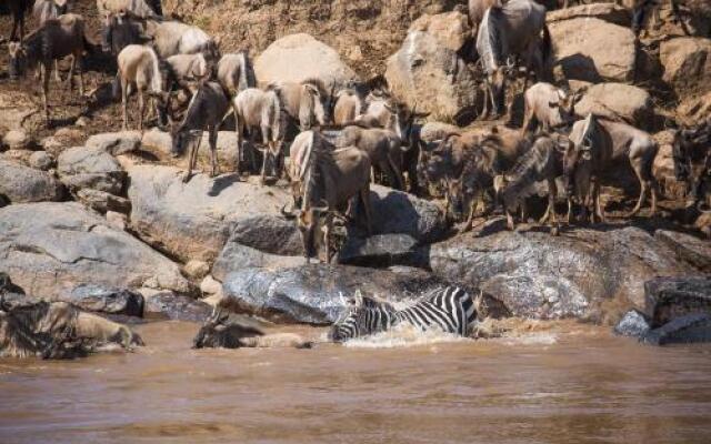 Losokwan Luxury Tented Camp - Maasai Mara