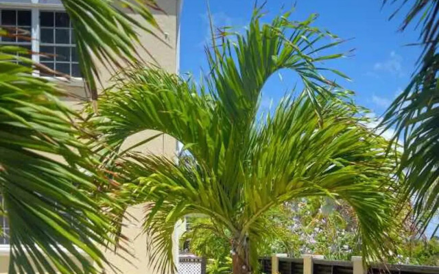 Hidden Gem Barbados