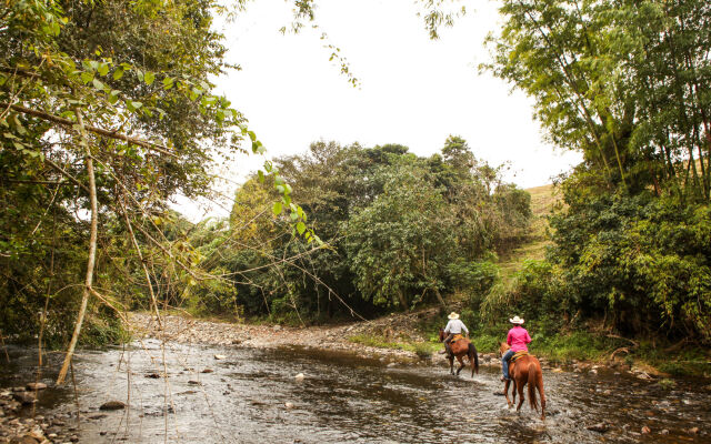 Rancho El Paraiso de Ayotoxco