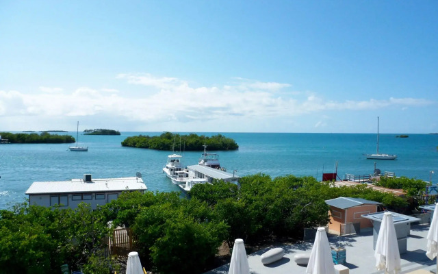Turtle Bay Inn
